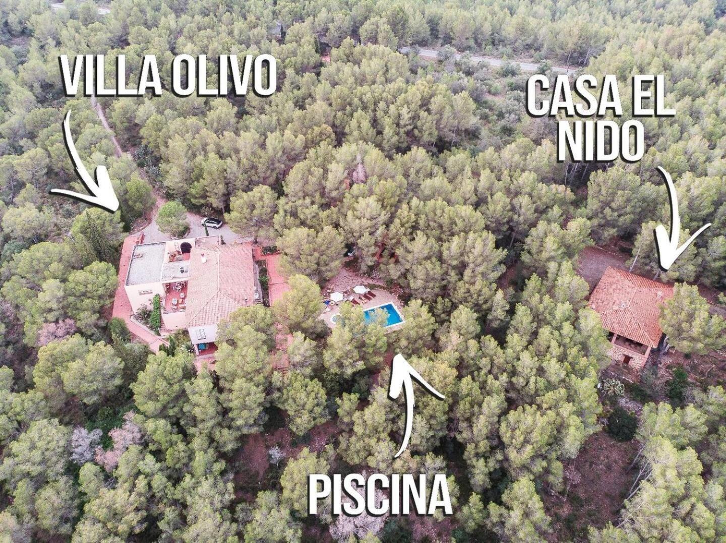 Aldeamia, Forest, Mountain View, Beach At 8 Min Vilanova de Escornalbou Luaran gambar